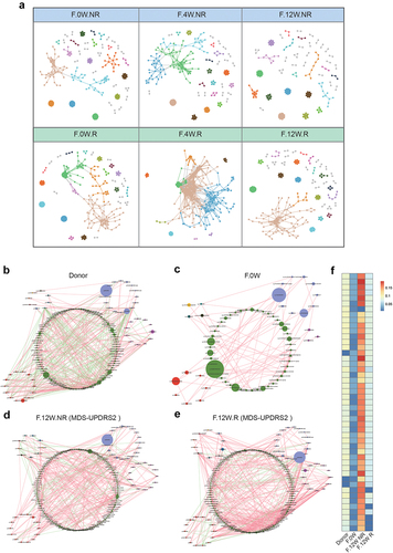 Figure 4. The microbial network analysis in participants after FMT. a: visualization of constructed MENs in FMT.R and FMT.NR subgroups at different times. 18 large modules are shown in different colors, and smaller modules are shown in gray. b-e: comparison of the genera co-occurrence networks between different subgroups. Network plots describing the co-occurrence of bacterial genera in the gut microbiota of donor (b), F.0W (c), F.12W.NR (d), F.12W.R (e) based on the Spearman correlation algorithms (r ≥ 0.7, p < .05), bacterial genera with at least 0.01% of relative abundance in at least 20% of the samples in each group were plotted. Each node presents a bacterial genus. The node size indicates the relative abundance of each genus per group, and the density of the dashed line represents the Spearman coefficient. Red links stand for positive interactions between nodes, and green links stand for negative interactions; f: discrepancies of the genera co-occurrence networks among groups based on the 16S rRNA data. The centralities (rank of the closeness) and discrepancies of nodes in four subgroups’ co-occurrence networks were counted, respectively.