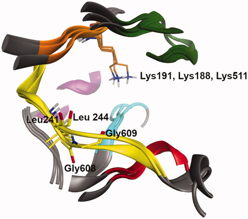 Figure 4. Superimposition of the ATP site of the three protein kinases, CLK1, DYRK1A and Haspin (residues and ribbons are coloured regarding their localisation in the kinase structure: hinge region (yellow), DFG motif (cyan), G loop (green), Catalytic K (orange), αC-helix (purple) and HRD region (red)), drawn with MOE software.Citation24 Non-polar hydrogen atoms are hidden for clarity. Catalytic lysine and residues in the hinge region forming hydrogen bonds with the ligand are highlighted. CLK1: Leu244 and Lys191, DYRK1A: Leu241 and Lys188, and Haspin: Gly608, Gly609 and Lys 511.