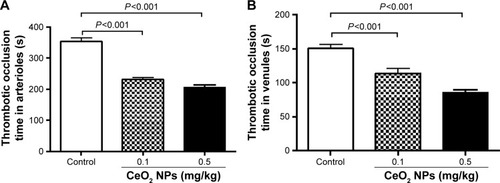 Figure 5 Thrombotic occlusion time in pial arterioles (A) and venules (B) 24 hours after intratracheal instillation of either saline or 0.1 or 0.5 mg/kg cerium oxide nanoparticles (CeO2 NPs) in mice. Data are mean ± standard error of the mean (n=6–8 in each group).