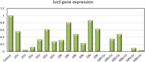 Figure 7. Folding ratio of luxS gene expression for before and after CuO and ZnO and a mixture of CuO and ZnO.