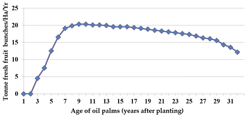 Figure 5. Actual fresh fruit bunches yield across the age of oil palms (Ismail and Mamat Citation2002).