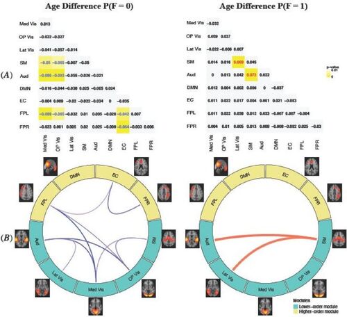 Fig. 5 MMM estimated difference in probabilities of functional connection state between the older (16–21) and younger (8–15) age group. (A): the estimated age difference (older vs. younger) for the probabilities of no FC (F = 0) and positive FC (F = 1). We highlight in yellow the age differences that are significant at the alpha = 0.05 level, where the color of the numerical values indicates the direction of the difference (red = significant positive difference; blue = significant negative difference). With age increases, the probability of no FC (F = 0) generally decreases across the networks and the probability of positive FC (F = 1) generally increases across the networks, indicating the brain gets more functionally organized with neurodevelopment. (B): A graphical illustration of the significant age differences in functional connections across brain networks presented in (A). Turquoise modules represent higher-order cognitive networks and yellow modules represent lower-order modules such as primary sensory and motor networks. The blue lines show probabilities that significantly decreases with age increase and the red lines show probabilities that significantly increases. Wider lines represent more significant age differences with smaller p-value.