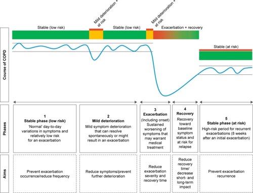 Figure 2 Conceptual model of patients’ fluctuations in symptoms during the course of COPD.