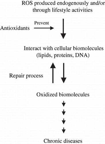 Figure 1 Oxidative stress, antioxidants, and chronic diseases.