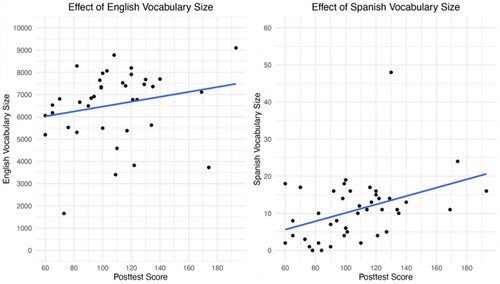 Figure 3. Graphs showing English (mean score ca. 6.5k/10k) and Spanish vocabulary scores (mean score ca. 12/60).