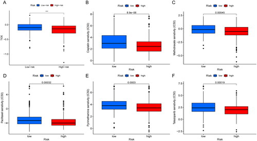 Figure 7. Correlation analysis of immunotherapy and drug sensitivity with risk score. (A) TIDE analysis in different risk scores groups; (B–F) drug sensitivity analysis of cisplatin (B), methotrexate (C), paclitaxel (D), pyrimethamine (E), talazoparib (F) in high- and low-risk group patients.