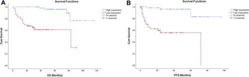 Figure 4 (A) Kaplan–Meier analysis of overall survival (OS) in patients with bladder cancer. (B) Kaplan-Meier analysis of progression-free survival (PFS) in patients with bladder cancer.