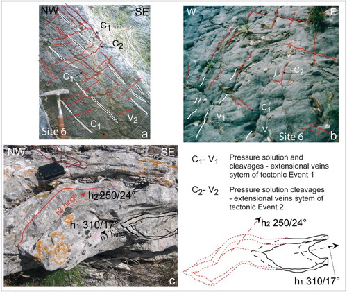 Figure 4. Cross-cutting relationships between deformation features that affected the Imerese tectonic units: (a,b) hinge and limb tracers, respectively, of a fold where cross-cutting relationship between two pressure solution-cleavage and extensional vein systems occur (C-V system; St. 6 in Figure 2 and Table 1; see Figure 3 for ubication); (c) fold systems and related interpretative sketch showing type 2 fold interference pattern (sensu CitationRamsay & Huber, 1987).