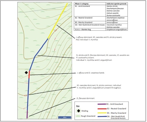 Fig. 4. Phase 1 mapping and occurrence of indicator species with specific locations for selected species at shieling site H.