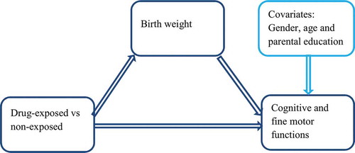 Figure 1 Conceptual model for mediation analyses of birthweight as a mediating factor of group differences in cognitive and fine motor abilities.