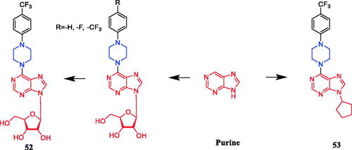 Figure 27. Chemical structures of purine and its derivatives.