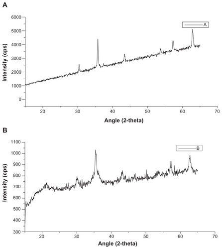 Figure 3 X-ray diffraction profiles of magnetic nanoaggregates as a function of block copolymer concentration. (A) 0.5 mmol; and (B) 3 mmol of block copolymer (Pluronic F-68).Abbreviation: CPS, counts per second.