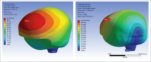 Figure 6. First mode shape of a simple brain model: a swing type of vibration in left and right direction.
