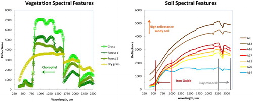 Figure 2. Independent field signatures of tropical soils and vegetation used in this study.