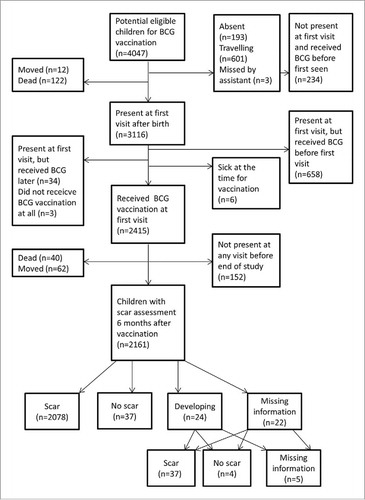 Figure 1. Flowchart for children who entered the analysis.