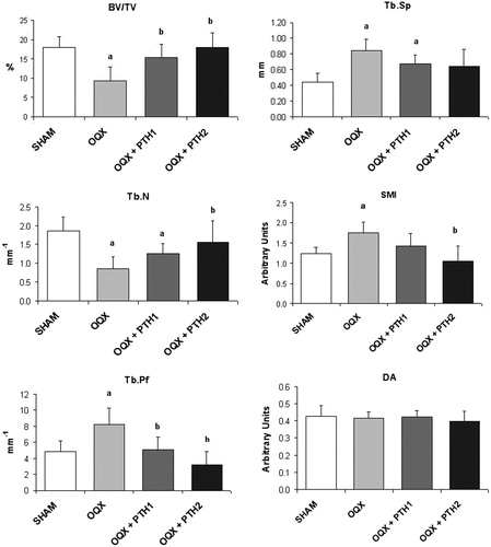Figure 2. Femoral trabecular analysis by microcomputed tomography: bone volume/total volume (BV/TV), trabecular number (Tb.N), trabecular separation (TbS), trabecular pattern factor (Tb.Pf), structure model index (SMI) and degree of anisotropy (DA). Six-month-old male Wistar rats at the beginning of the study, distributed into four groups: Sham-operated rats (SHAM), castrated rats (orchidectomy: ORX), castrated rats treated for three months with PTH 10 mg/kg/d (ORX + PTH1) and PTH 50 mg/kg/d (ORX + PTH2), beginning three months after surgery. Data are expressed as mean + SD of 10 animals/group. Statistical significance p < 0.05: (a) versus SHAM; (b) versus ORX; and (c) versus ORX + PTH1.
