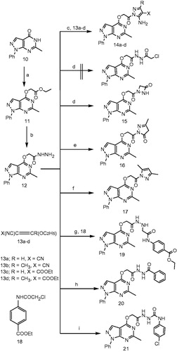 Scheme 1. Reagents and conditions: (a) ethyl chloroacetate, acetone, K2CO3, reflux, 6 h; (b) hydrazine hydrate, ethanol, reflux, 5 h; (c) CR(OC2H5)=C(CN)X, ethanol, 10 h; (d) chloroacetyl chloride, DMF, K2CO3, RT, overnight; (e) ethyl acetoacetate, ethanol, reflux, 12 h; (f) acetylacetone, CH3COOH, reflux, 6 h; (g) 4-COOC2H5-C6H4-NHCOCH2Cl, ethanol, reflux, 8 h; (h) benzoyl chloride, ethanol, reflux, 6 h; (i) 4-chlorophenylisocyanate, dioxane, reflux, 4 h.