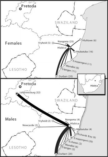 Figure 7: Female and male migrant destinations from Hlabisa (% of migrants)