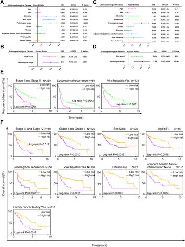 Figure 6 The TME-related signature is an independent prognostic factor in LIHC patients. Univariate (A) and multivariate (B) Cox regression of prognosis factor for RFS. Univariate (C) and multivariate (D) Cox regression of prognosis factor for OS. (E) Kaplan–Meier analysis of RFS for LIHC patients stratified by stage, recurrence type and viral hepatitis. (F) Kaplan–Meier analysis of OS for LIHC patients stratified by stage, grade, gender, age, recurrence type, viral hepatitis, fibrosis, adjacent hepatic tissue inflammation and family cancer history.