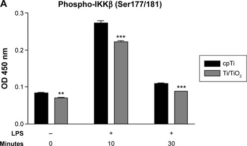 Figure 2 Effects of Ti/TiO2 nanotubular vs flat surface on IKKβ and IkB-α phosphorylation.Notes: (A) RAW 264.7 cells were allowed to adhere on the substrates for 24 hours prior to stimulation with 1 µg·mL−1 LPS for specified times. The concentration of phospho-IKKβ in cell lysates was analyzed by the ELISA technique. The data are expressed as mean ± SD. **P<0.01; ***P<0.001. (B) Fluorescent immunodetection of p-IkB-α in untreated and LPS (1 µg·mL−1, for 10 minutes) stimulated macrophages using specific anti-p-IkB-α antibody (red). Nuclei were stained with DAPI (blue). Scale bar represents 20 µm.Abbreviations: cpTi, commercial pure titanium; DAPI, 4′,6-diamidino-2-phenylindole; ELISA, enzyme-linked immunosorbent assay; LPS, lipopolysaccharide; OD, optical density; SD, standard deviation; vs, versus.