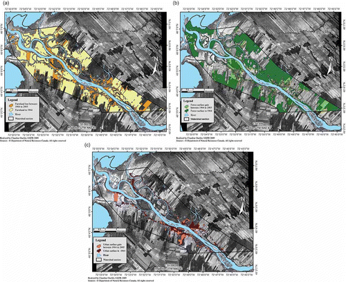 Fig. 6 (a) Changes in farmland between 1964 and 2005; calculated loss of 14% since 1928. (b) Changes in woodland between 1964 and 2005; calculated gain of 11% since 1928. (c) Changes in urban areas between 1964 and 2005.