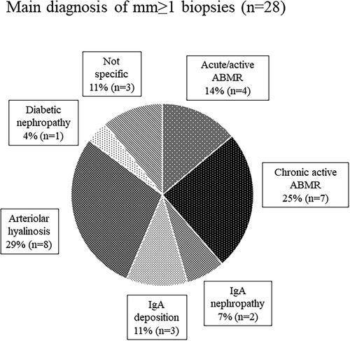 Figure 3. Main diagnoses of mm-positive lesions.