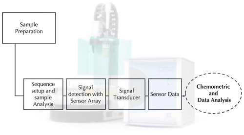 Figure 4. Sequential application of the e-tongue.