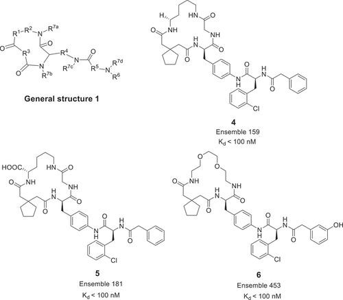 Figure 3. The general structure and examples of the macrocycles patented by Ensemble Therapeutics.