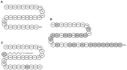 Figure 1 A) The molecular structure of human GLP-1. B) The molecular structure of exenatide (gray colors indicate differences in structure from human GLP-1. C) The molecular structure of liraglutide (gray colors indicate changes in structure from human GLP-1).