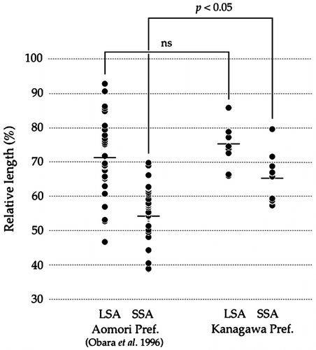 Figure 4 A comparison of heteromorphisms of C. platycephala samples from Aomori and Kanagawa Prefectures, Japan, according to Obara et al. (Citation1996) and the present data. In SSA, the averages of each individual from Aomori Prefecture and those of each individual from Kanagawa Prefecture are significantly different (asterisk, p < 0.05), but in LSA the averages of each individual from both prefectures do not differ significantly (ns). Horizontal bars indicate averages.