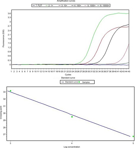 Figure 2 Real-time PCR for cDNA of hMAM to determine the standard curve using BT474 cell lines.