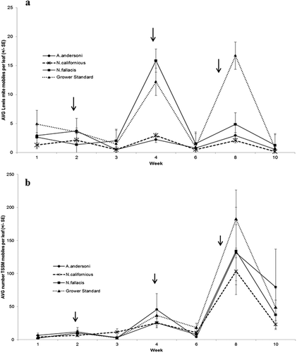 Figure 1. 2013 experiment, mean (± SE) number of (a) Lewis spider mite and (b) twospotted spider mite mobiles (adult + nymphs + larvae) per trifoliate in each treatment. Week 1 is the baseline sample taken before predators were released. Arrows indicate predatory mite release. Grower Standard = P. persimilis + N. californicus. Data are presented as means of four replicates.