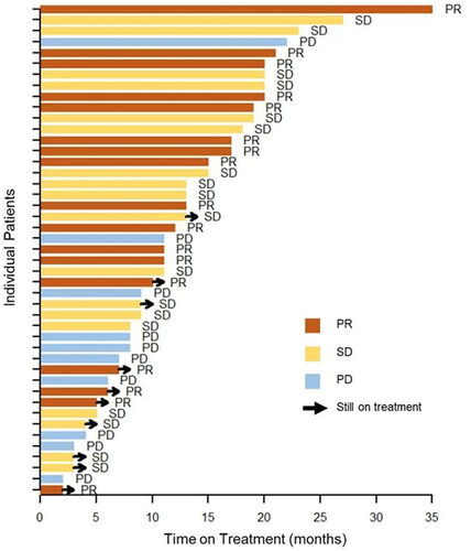 Figure 2 Summary of Pyrotinib-based therapy response in elder HER2-positive metastatic BC patients.