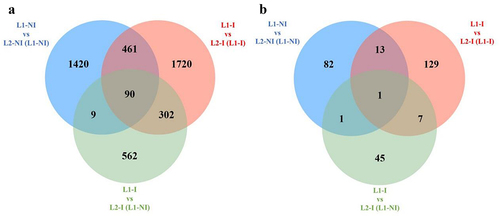 Figure 4. Venn diagrams of the total number of differentially methylated cytosines (DMCs) as well as shared DMCs in three comparisons: 1st lactation (n = 7) vs. 2nd lactation (n = 7) (blue), 1st (n = 5) vs. 2nd lactation with inflammation (n = 5) (green), and 1st (n = 5) vs. 2nd lactation with inflammation and previous inflammation history (n = 7) (red) (a), as well as the total number of differentially methylated regions (DMRs) and shared DMRs in all three comparisons (b).