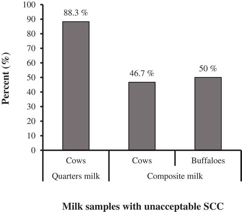 Figure 2. Prevalence of unacceptable milk SCC in examined quarters and composite milk from cows and buffaloes, according to Egyptian standards of raw milk, 2010.