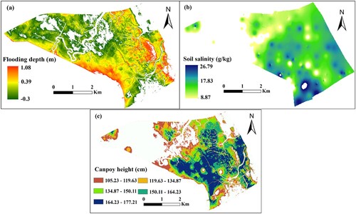 Figure 7. Spatial distribution map of the optimal habitat based on S. alterniflora canopy height for flooding depth(a), soil salinity (b), and canopy height (c).