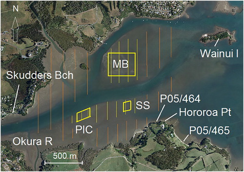 Figure 3. Mid-Kerikeri Inlet in 2009, the geomorphology apparently having changed little over the previous 170 y, but for shoaling (Figure S10). The main extent of the cockle beds in 2018–19 are indicated by yellow vertical lines; orange vertical lines denote areas of deep mud essentially devoid of cockles. MB, Middle Bank; PIC, Pickmere Channel; SS, South Shore.