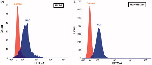 Figure 5. Quantitative uptake of analysis by ﬂow cytometry of NLC on: (A) MCF-7 cells, and (B) MDA-MB-231 cells. Control (orange), treated NLC (blue).
