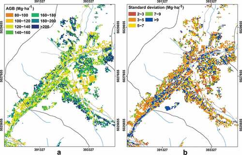 Figure 9. The spatial distribution of pixel-level AGB estimates (Bˆpix_ABA) (a) and its uncertainty (σˆpix_ABA) (b) of larch plantations based on ABA around Xinken District. Xinken District was dominated by AGB estimates and its uncertainty less than 180 Mg·ha−1 and greater than 3 Mg·ha−1, respectively.