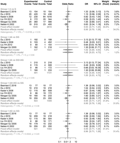 Figure 3. Meta-analysis of associations between genetic models of tumor necrosis factor alpha-238 G/A polymorphisms and multiple myeloma risk.