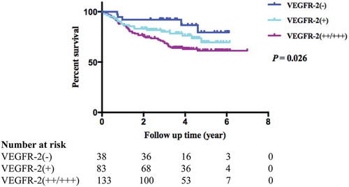 Figure 4. Kaplan-Meier survival curves of gastric cancer by VEGFR-2 status.
