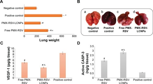 Figure 4 In vivo antitumor activity.Notes: (A) Average weight of excised lungs of mice measured at the end of treatment course. (B) Representative images of excised lung tumors displaying differences among mice groups after 3 weeks of exposing to different treatments; (a) negative control, (b) positive control, (c) free PMX-RSV mixture, and (d) ion-paired PMX-RSV-LCNPs (F10). The level of the tumor biomarkers measured using ELISA in tumor homogenate including (C) VEGF and (D) CASP-3 in urethane-induced lung cancer-bearing mice treated with free PMX-RSV and ion-paired PMX-RSV-LCNPs (F10) compared to untreated positive control. *P<0.05 vs negative control, #P<0.05 vs positive control, %P<0.05 vs free PMX/RSV mixture.Abbreviations: CASP-3, caspase 3; LCNPs, liquid crystalline nanoparticles; PMX, pemetrexed; RSV, resveratrol; VEGF, vascular endothelial growth factor.