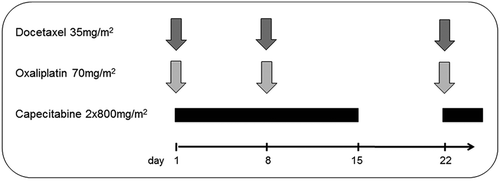 Figure 1. Treatment schedule.