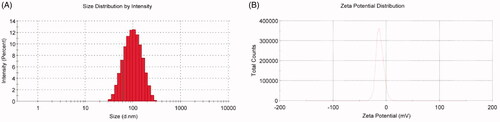 Figure 2. Particle size distribution and zeta potential of Nab-PTX-PA.