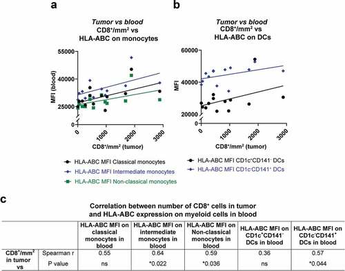 Figure 3. Correlation between activated myeloid cells in peripheral blood and CD8+ T cells in tumor. The number of CD8+ cells in tumor biopsies from uveal melanoma liver metastases are depicted against the expression of HLA-ABC on (a) monocytes and (b) on DCs in peripheral blood. All lines are adapted from linear regression. (c) The amount of CD8+ cells in tumor biopsies were correlated against the HLA-ABC expression on monocytes and on DCs, utilizing Spearman correlations (n = 13). MFI = Median fluorescence intensity