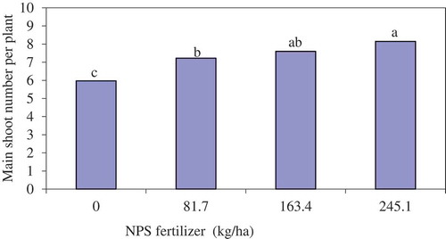 Figure 2. Main stem shoot numbers of potato as affected by NPS fertilizer