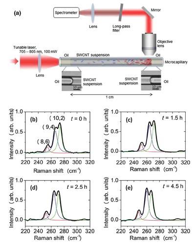 Figure 7. (a) Experimental setup for selective optical transport of SWCNTs sustained in a microcapillary. The targeted chirality of the SWCNTs is transported in a selective way, and Raman spectroscopy is observed at the other end of the capillary. (b)–(e) Number of targeted SWCNTs with chirality (9,4) gradually increased. (Reprinted with permission from Ref [Citation40].©American Physical Society)