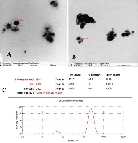 Figure 3. (A, B) display TEM images, (C) the average particle size distribution curve of green AgNPs obtained from DLS measurements.