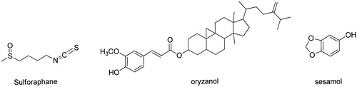 Figure 1.  Chemical structures of sulforaphane, oryzanol and sesamol.