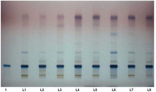 Figure 3. HPTLC fingerprints of uzara root extracts observed under white light. L1–L8 represent one collection in each of the eight localities and the reference standard uzarin, in track 1.